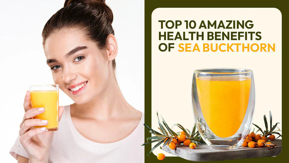 Sea Buckthorn Benefits and Uses Seabuckthorn Store by WellWith Ayuzera
