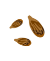 SEED POWDER