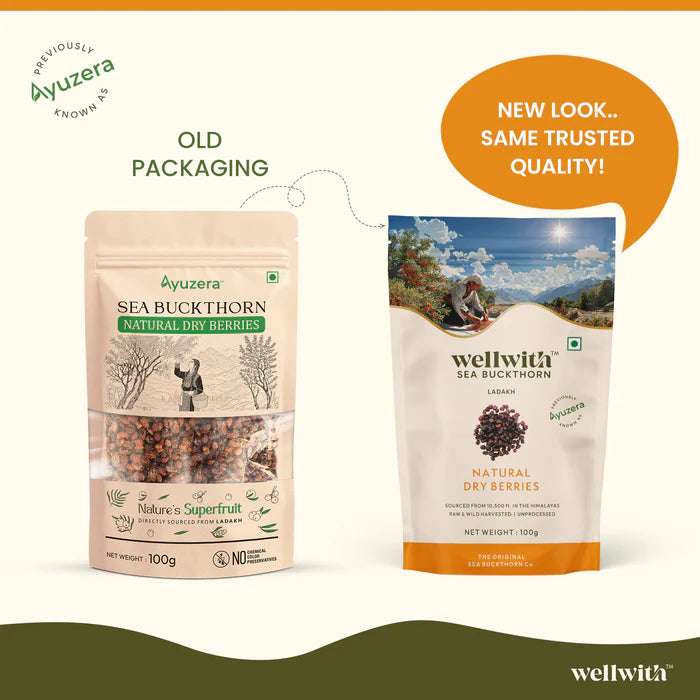 Sea Buckthorn Dry Berry 100gm - Seabuckthorn Store by WellWith Ayuzera 