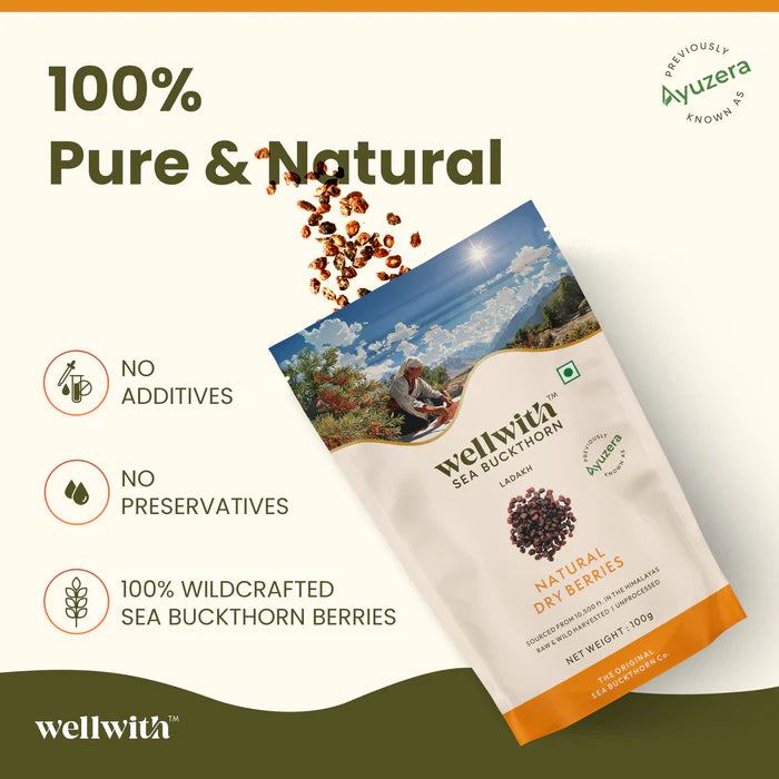 Sea Buckthorn Dry Berry 100gm - Seabuckthorn Store by WellWith Ayuzera 