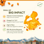 Sea Buckthorn Juice (Pulp) 300ml WellWith Ayuzera