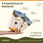 Sea Buckthorn Dry Berry 100gm - Seabuckthorn Store by WellWith Ayuzera 