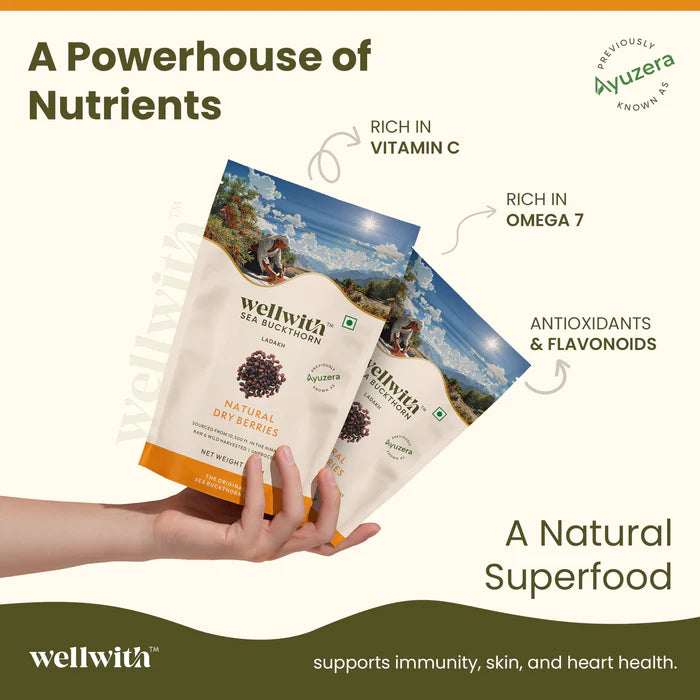 Sea Buckthorn Dry Berry 100gm - Seabuckthorn Store by WellWith Ayuzera 