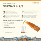 Sea Buckthorn Juice (Pulp) 300ml WellWith Ayuzera