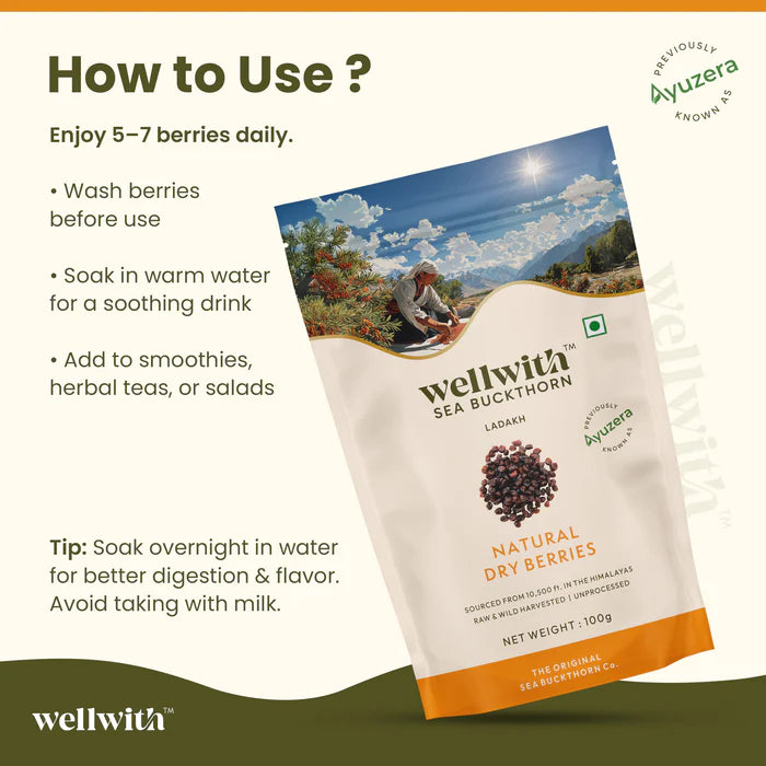 Sea Buckthorn Dry Berry 100gm - Seabuckthorn Store by WellWith Ayuzera 