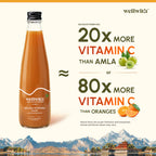 Sea Buckthorn Juice (Pulp) 300ml WellWith Ayuzera