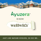 Sea Buckthorn Dry Berry 100gm - Seabuckthorn Store by WellWith Ayuzera 