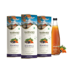 Sea Buckthorn DiaWell 300ml WellWith Ayuzera