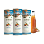 Sea Buckthorn FitWell 300ml WellWith Ayuzera