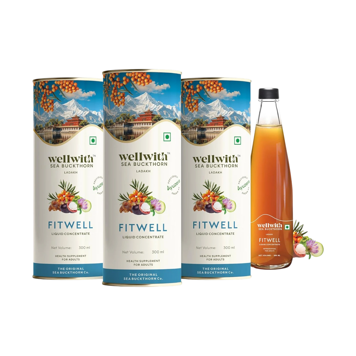Sea Buckthorn FitWell 300ml WellWith Ayuzera
