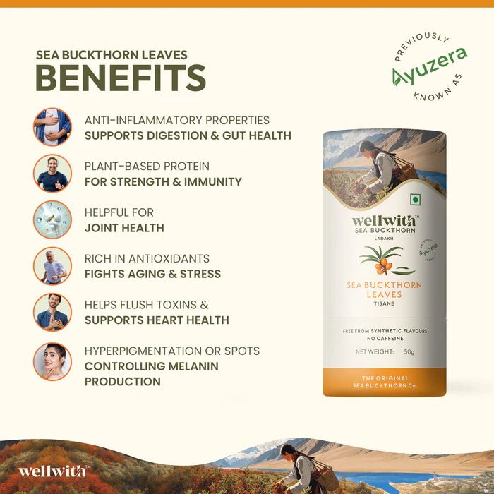 Immunity Care Kit - WellWith Ayuzera
