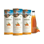 Sea Buckthorn Juice (Pulp) 300ml WellWith Ayuzera