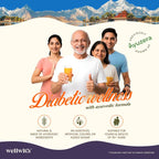 Sea Buckthorn DiaWell 300ml - WellWith Ayuzera