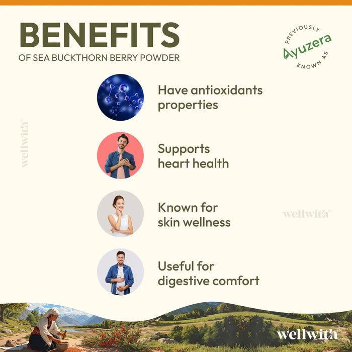 Sea Buckthorn Dry Berry Powder - WellWith Ayuzera