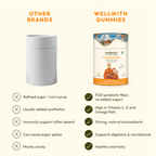 Sea Buckthorn Gummies - WellWith Ayuzera
